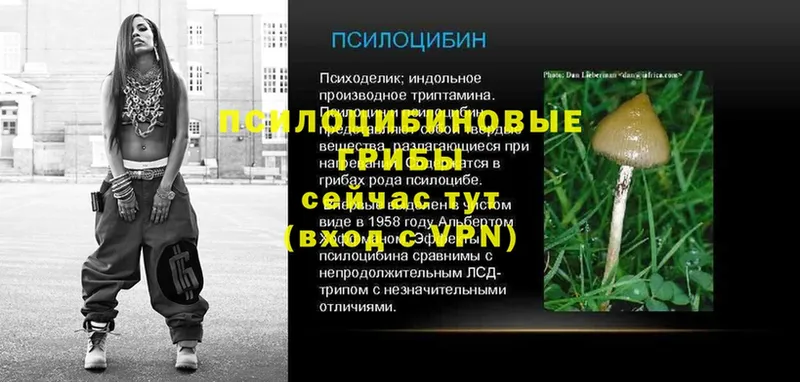 Псилоцибиновые грибы мухоморы  Баксан 